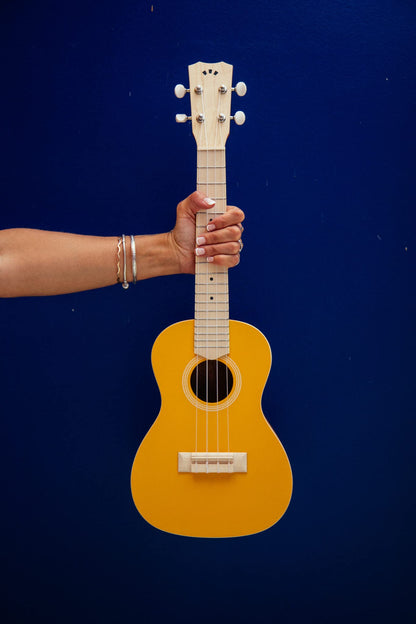 Cordoba, 4 15CM Concert Ukulele-Hand Crafted With Mahogany Top, Back & Sides, Authentic Abalone Rosette & Satin Finish & Premium Italian Aquila Strings-For Beginners & Professionals, Right, COD