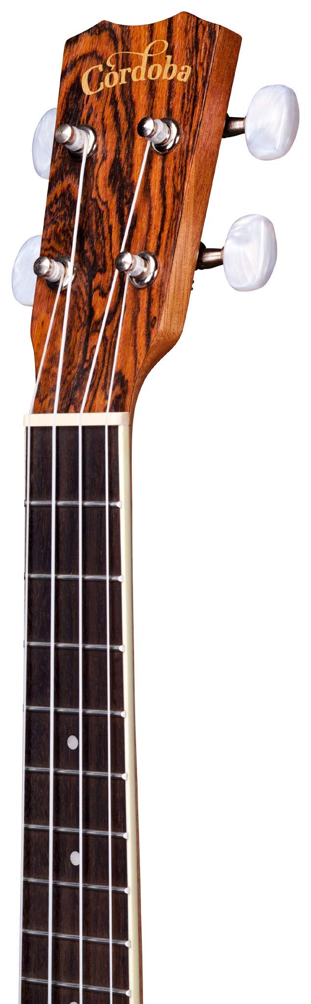 Cordoba, 4 15CM Concert Ukulele-Hand Crafted With Mahogany Top, Back & Sides, Authentic Abalone Rosette & Satin Finish & Premium Italian Aquila Strings-For Beginners & Professionals, Right, COD
