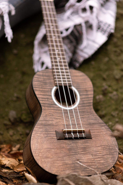 Cordoba, 4 15CM Concert Ukulele-Hand Crafted With Mahogany Top, Back & Sides, Authentic Abalone Rosette & Satin Finish & Premium Italian Aquila Strings-For Beginners & Professionals, Right, COD