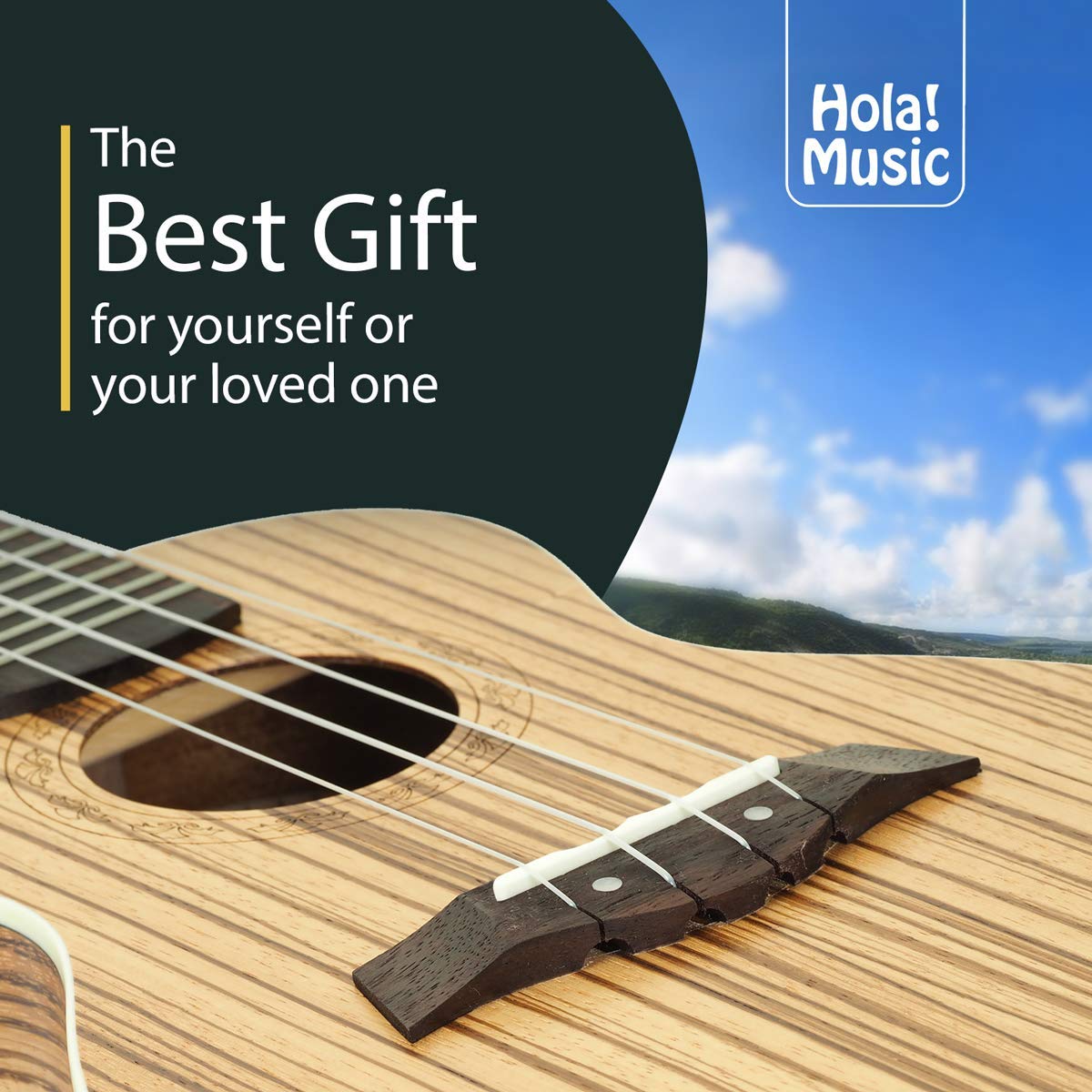 Concert Ukulele Bundle, Deluxe Series by Hola! Music, 24 Inch Mahogany Ukulele with Aquila Nylgut Strings Installed, Padded Gig Bag, Strap and Picks - Blue