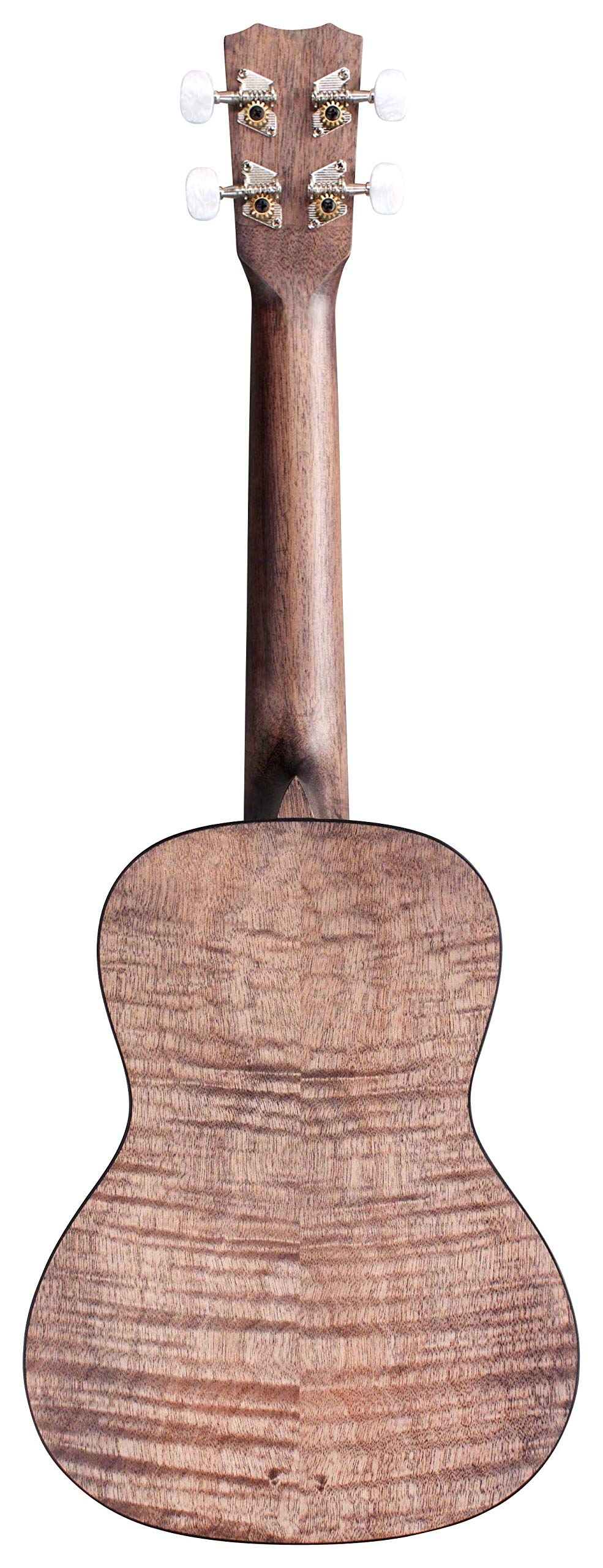 Cordoba, 4 15CM Concert Ukulele-Hand Crafted With Mahogany Top, Back & Sides, Authentic Abalone Rosette & Satin Finish & Premium Italian Aquila Strings-For Beginners & Professionals, Right, COD