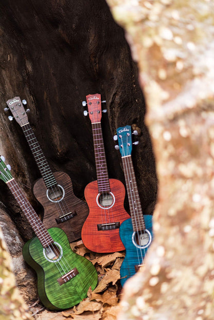 Cordoba, 4 15CM Concert Ukulele-Hand Crafted With Mahogany Top, Back & Sides, Authentic Abalone Rosette & Satin Finish & Premium Italian Aquila Strings-For Beginners & Professionals, Right, COD